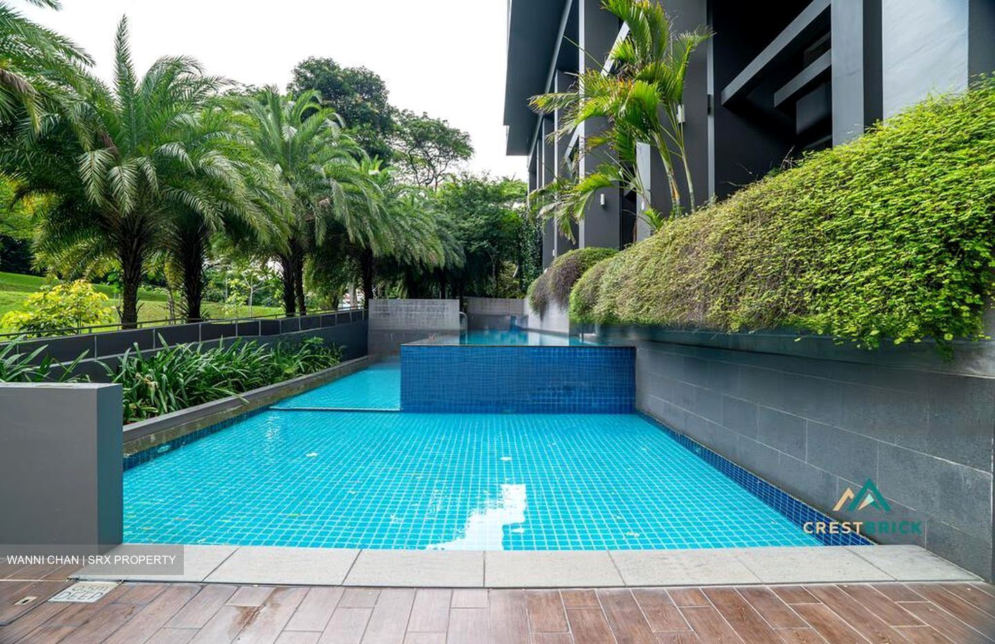 Spottiswoode 18 (D2), Apartment #452988841